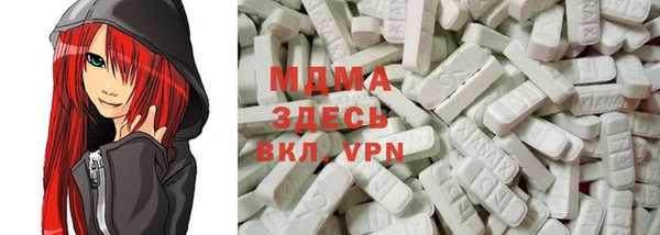 дмт Богданович