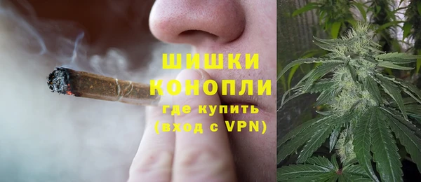 хмурый Богородск
