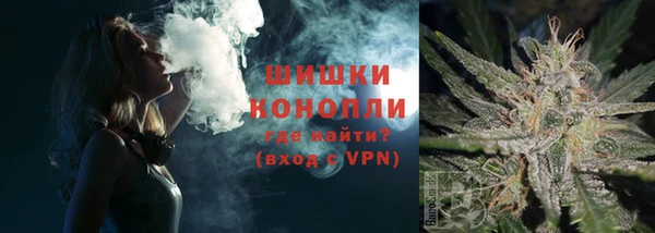дмт Богданович