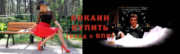 mdpv Богородицк