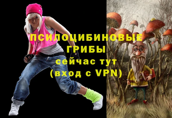 хмурый Богородск