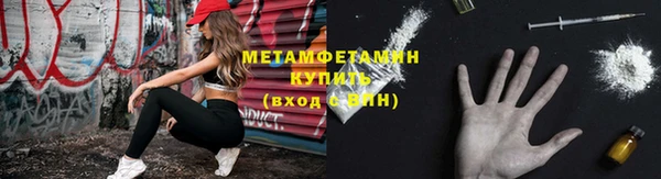 дмт Богданович