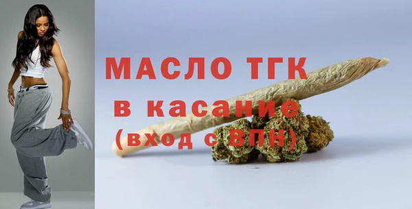 mdpv Богородицк