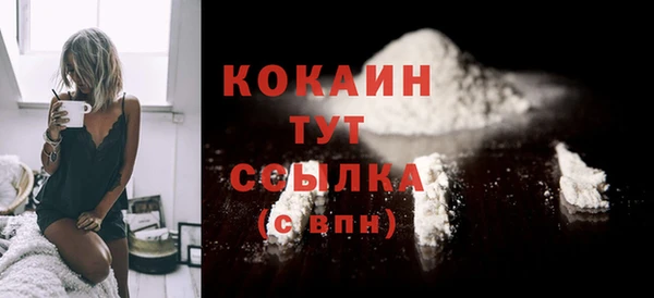 дмт Богданович