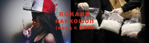 mdpv Богородицк