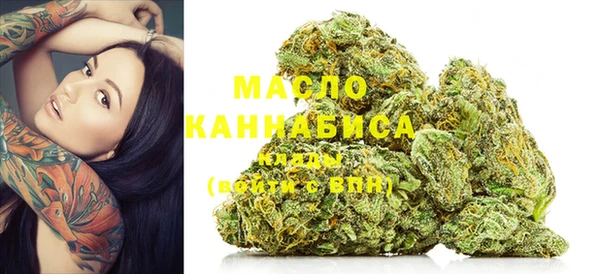 дмт Богданович