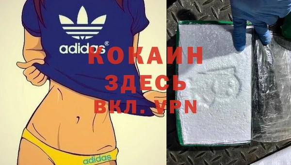 mdpv Богородицк