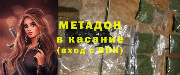 дмт Богданович