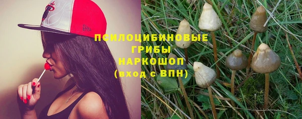 хмурый Богородск