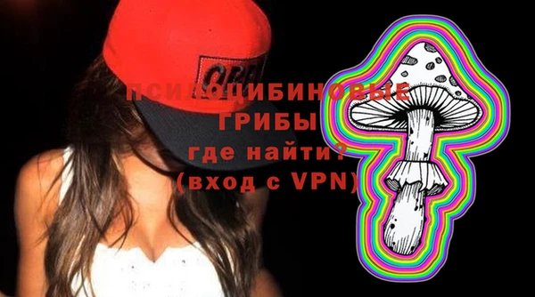 mdpv Богородицк