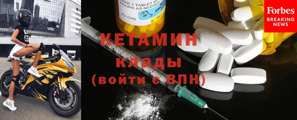 дмт Богданович