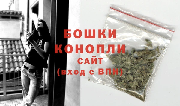 дмт Богданович