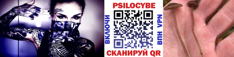 закладки  Красноармейск  Галлюциногенные грибы MAGIC MUSHROOMS 